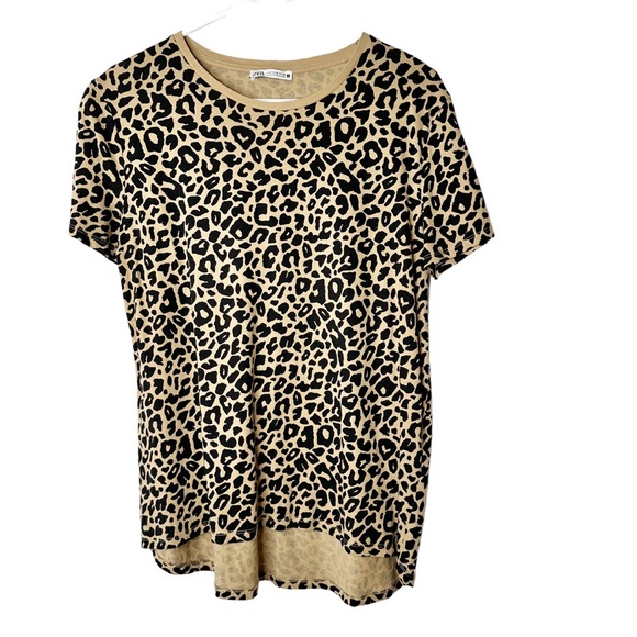 Zara Leopard Tee Medium High Low Hem - Picture 2 of 5